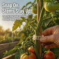 VerdiClip™ — Keep Tomatoes Upright, Forget Twist Ties, Protect Every Stem from Breaking
