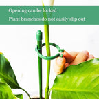 ThriveGrip™ — Unshakable Support That Turns Your Garden Into a Showstopper