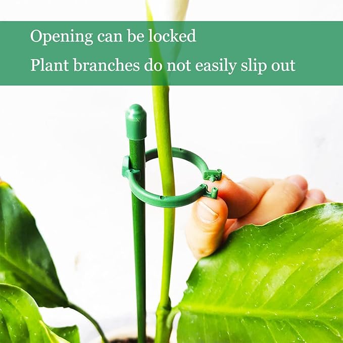 ThriveGrip™ — Unshakable Support That Turns Your Garden Into a Showstopper