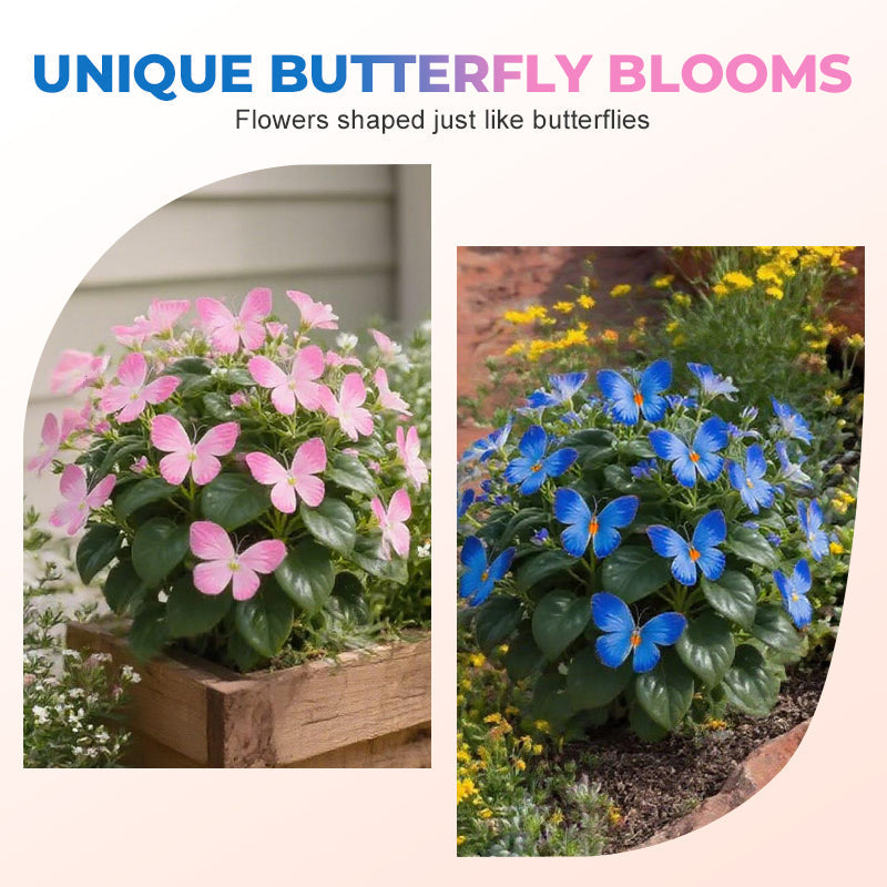 EnchantWing™ Butterfly Bloom Seeds — Transform Your Garden into a Vibrant Butterfly Paradise That Dazzles Every Eye