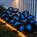 ShadeMuse™ — Transform Hidden Shade into a Vibrant, Effortless Garden Sanctuary