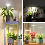 Plant Lamp | Growth Light Full Spectrum | Timer with Dimming Control | PlantGlow