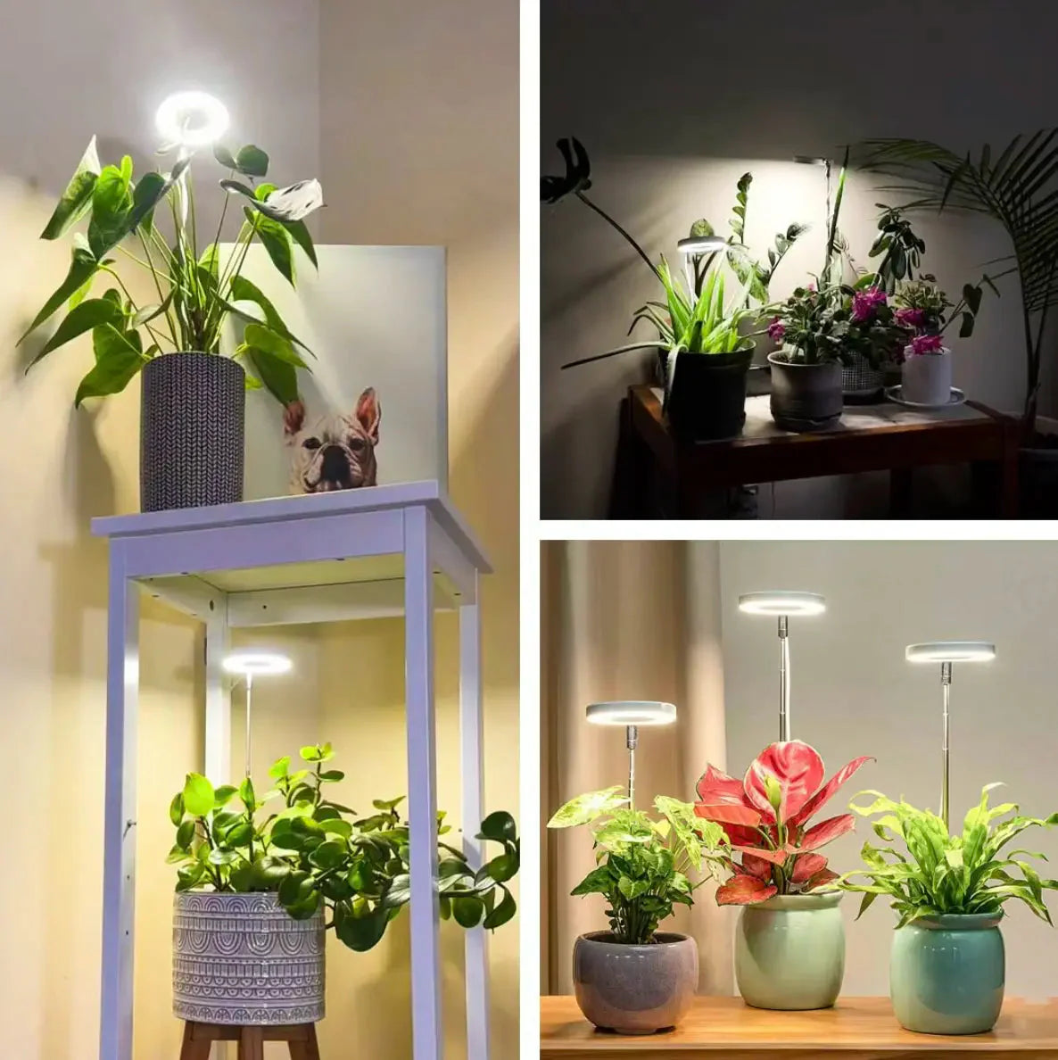 Plant Lamp | Growth Light Full Spectrum | Timer with Dimming Control | PlantGlow