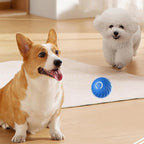 ThrillPup™ — Ignite Boundless Joy and Energy with Every Chase