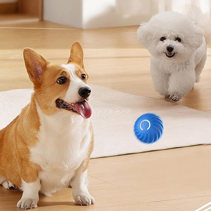 ThrillPup™ — Ignite Boundless Joy and Energy with Every Chase