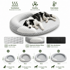 Cooling Pet Bed | Ice Silk Cooling, Honeycomb Breathable | Removable Washable Cover & Non-Slip