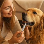 LumaPet™ Oral Care Pen — Effortless Fresh Breath and a Smile That Melts Hearts Every Day