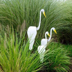 ZephyraGlide™ — Transform Your Garden Into a Mesmerizing Breeze-Powered Ballet of Grace and Joy