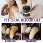 PurePaw Smile™ — Unlock Joyful Play with a Fresh, Pain-Free Pet Smile Every Day