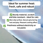 FrostPaw™ Cat Chill Mat — Keep Your Cat Cool, Calm, and Playfully Refreshed All Summer