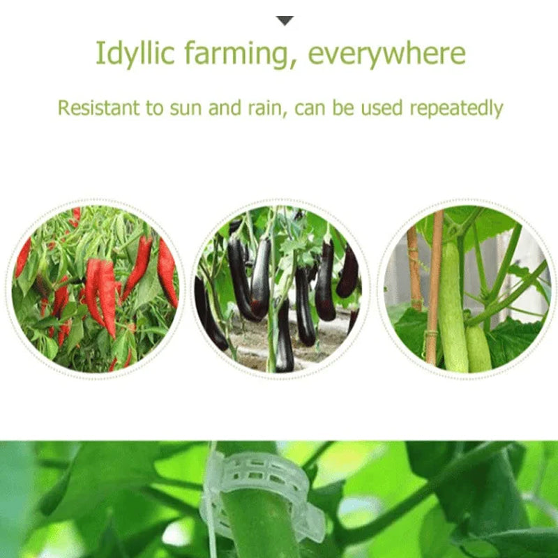 Plant Support Clips Plastic | Inner Diameter 1 Inch | Reusable | Stemhold