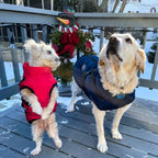 StormGuard™ Shield Coat — Wrap Your Dog in Cozy, Weatherproof Control for Stress-Free Walks