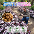 EnchantWing™ Butterfly Bloom Seeds — Transform Your Garden into a Vibrant Butterfly Paradise That Dazzles Every Eye