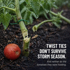 VerdiClip™ — Keep Tomatoes Upright, Forget Twist Ties, Protect Every Stem from Breaking