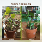 Soil Improvement Powder | Potassium Mineral Blend | For Beds and Containers | SoilLift