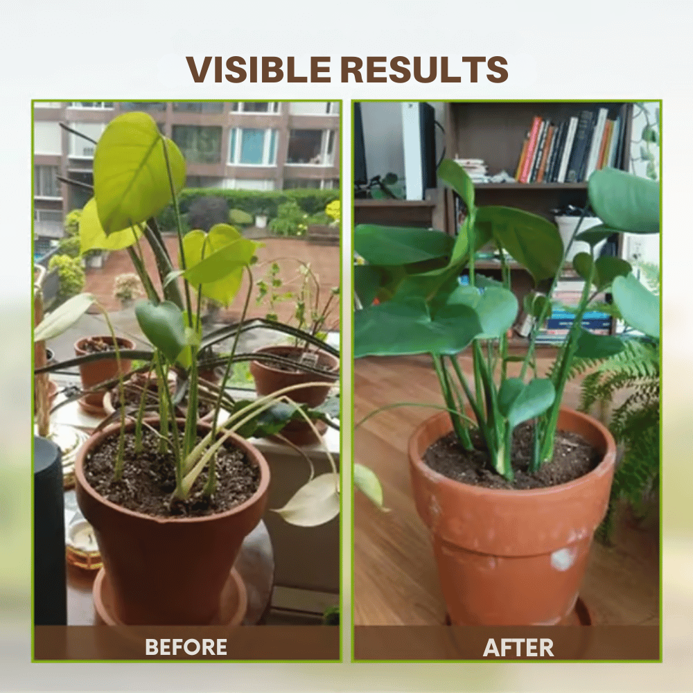 Soil Improvement Powder | Potassium Mineral Blend | For Beds and Containers | SoilLift