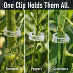 VerdiClip™ — Keep Tomatoes Upright, Forget Twist Ties, Protect Every Stem from Breaking