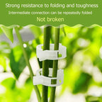 Plant Support Clips Plastic | Inner Diameter 1 Inch | Reusable | Stemhold