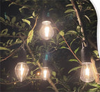 GlintTrail™ — Effortless, All-Night Glow That Frees Your Adventures