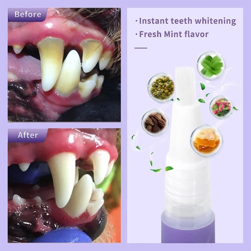 VibrantPaw™ — Unleash Your Pet’s Brightest, Freshest Smile Ever