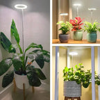 Plant Lamp | Growth Light Full Spectrum | Timer with Dimming Control | PlantGlow