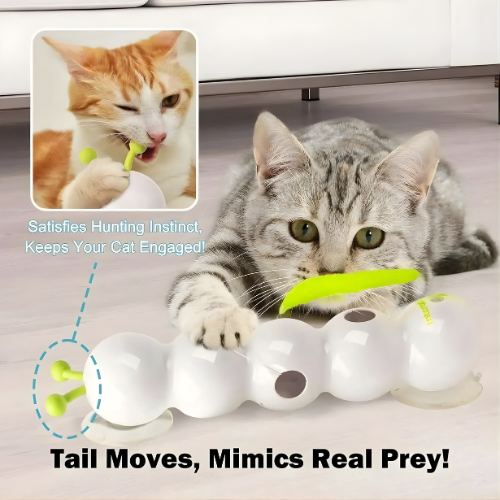 WhiskerFrenzy™ — Ignite Your Cat’s Wild Instincts for Endless Play and Joy