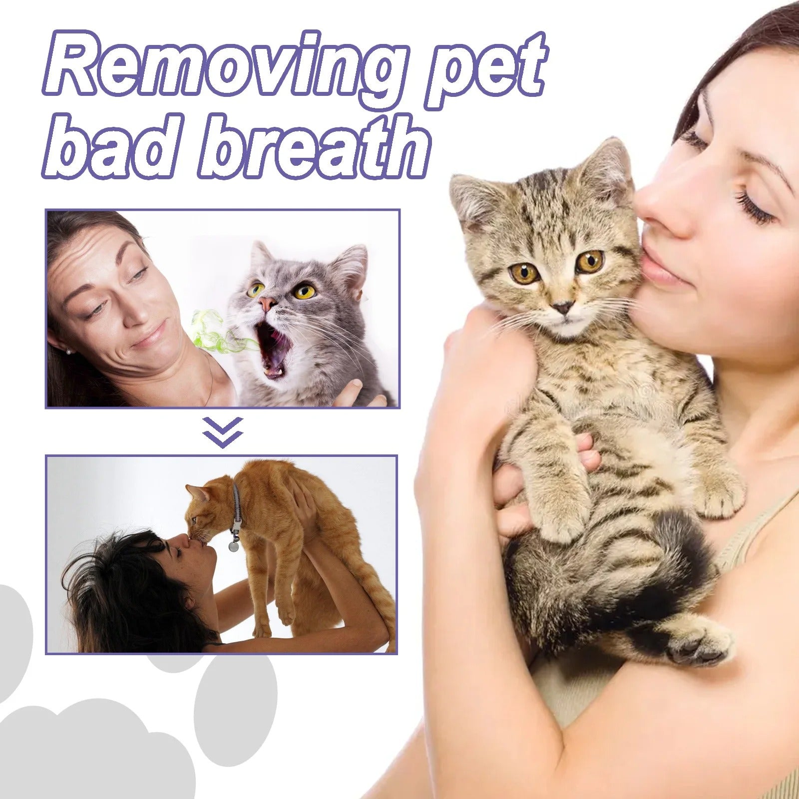 PurePaw Smile™ — Unlock Joyful Play with a Fresh, Pain-Free Pet Smile Every Day