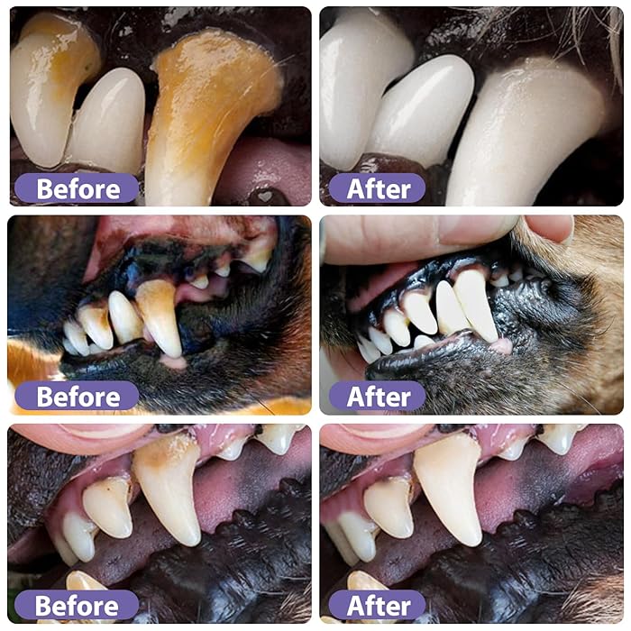 PurePaw Smile™ — Unlock Joyful Play with a Fresh, Pain-Free Pet Smile Every Day