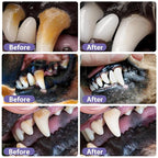 PurePaw Smile™ — Unlock Joyful Play with a Fresh, Pain-Free Pet Smile Every Day