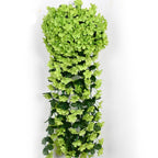 FloraVerve™ — Transform Any Room with Timeless, Carefree Orchid Elegance