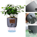 Flower Pot | Self-Watering | Clean Hydration | AquaWick