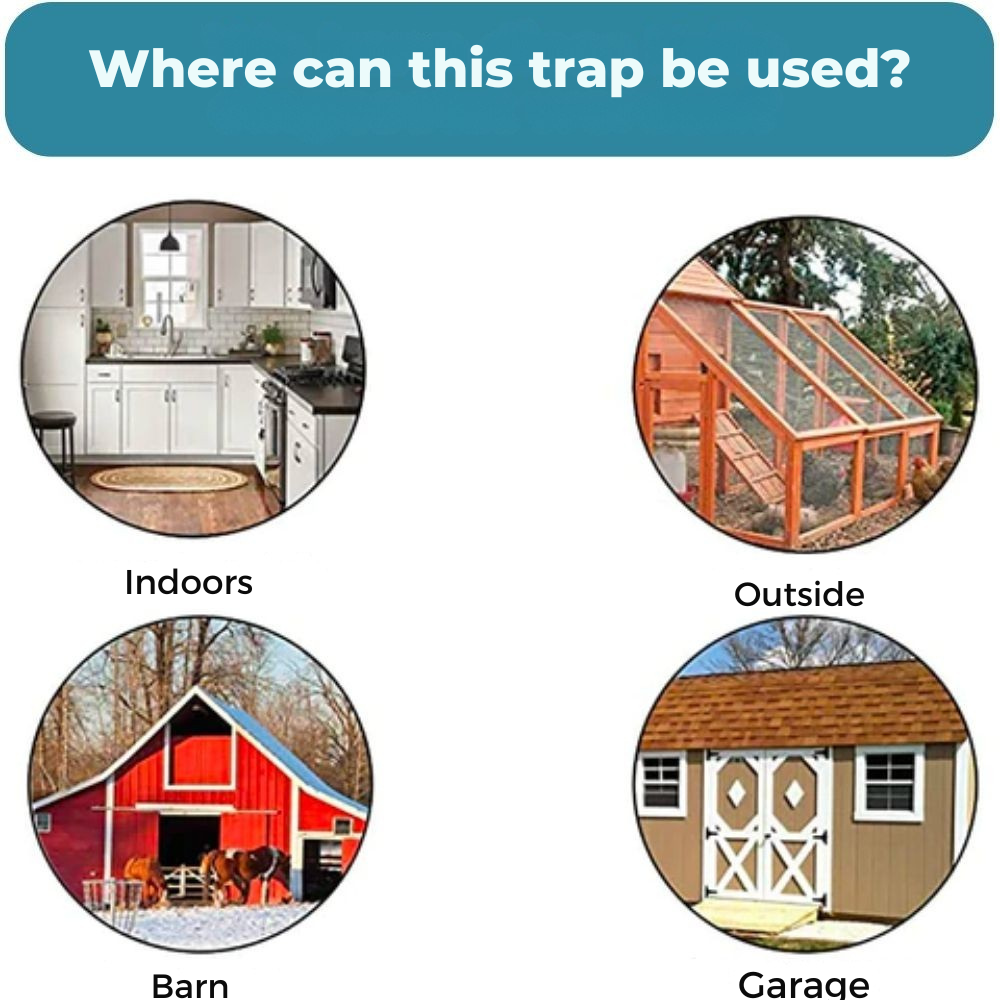 Catch Pests | Reusable Live Mouse Trap Bucket System | FlipCatch
