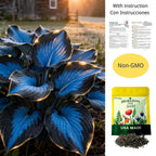 ShadeMuse™ — Transform Hidden Shade into a Vibrant, Effortless Garden Sanctuary