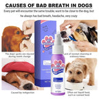 BreezeMist™ Breath Elixir — Unlock Endless Snuggles with Fresh, Healthy Pet Breath