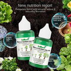 VerdiLux™ Plant Elixir — Ignite Explosive Growth and Unstoppable Garden Vitality