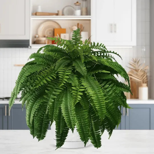 EmeraldMoss™ — Stunningly Real Greenery That Thrives Without Effort or Watering