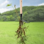 Weed Puller Alloy with Foot Lever | 4-Claw Root Remover | Chemical-Free Weed Control | RootRaus