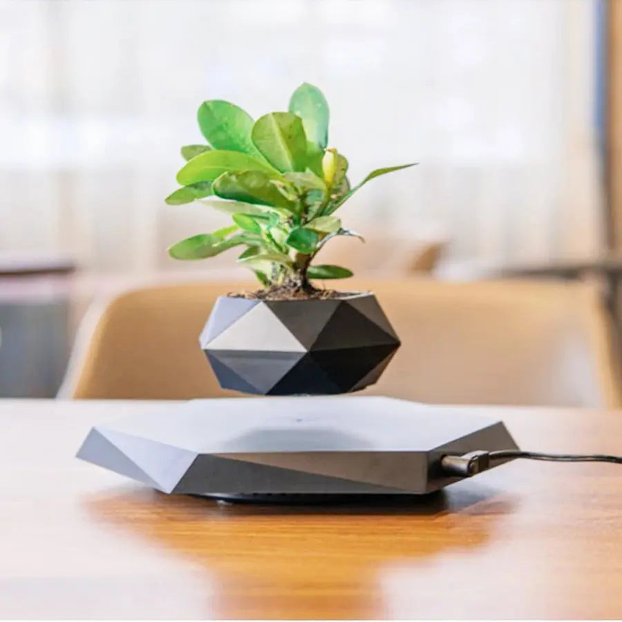 Flower Pot | 360° Rotation | Sculptural, Hovering Design | AeroPlant