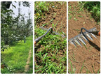 Weed Cutter Made of Iron | Steel Rake | Soil Aeration & Weed Removal | IronTine