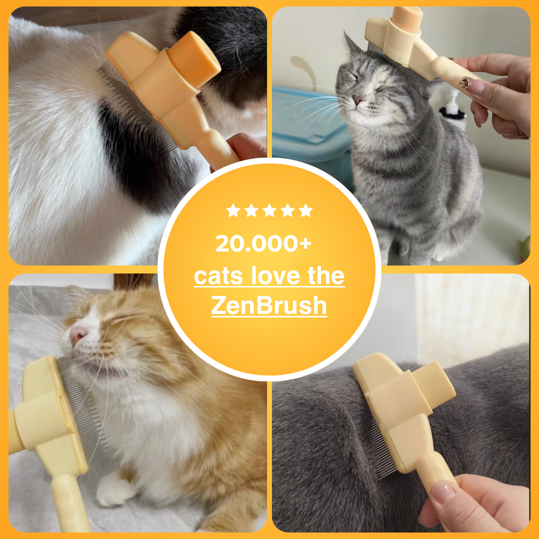 SereniPaw™ — Transform Brushing Into Your Cat’s Most Loved Moment
