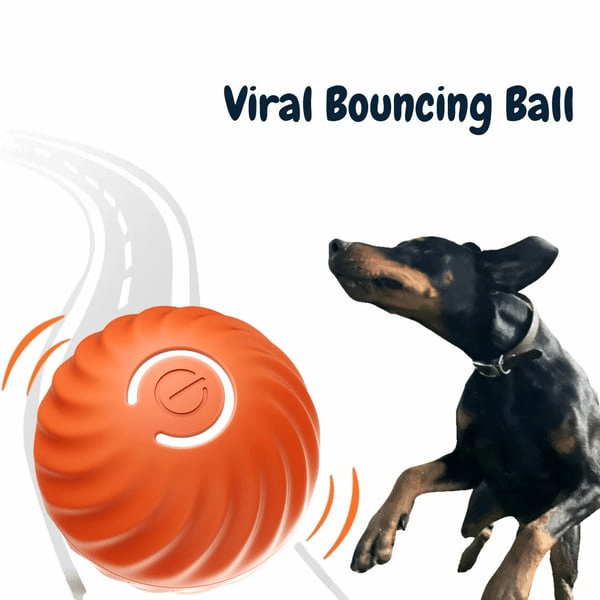 ThrillPup™ — Ignite Boundless Joy and Energy with Every Chase