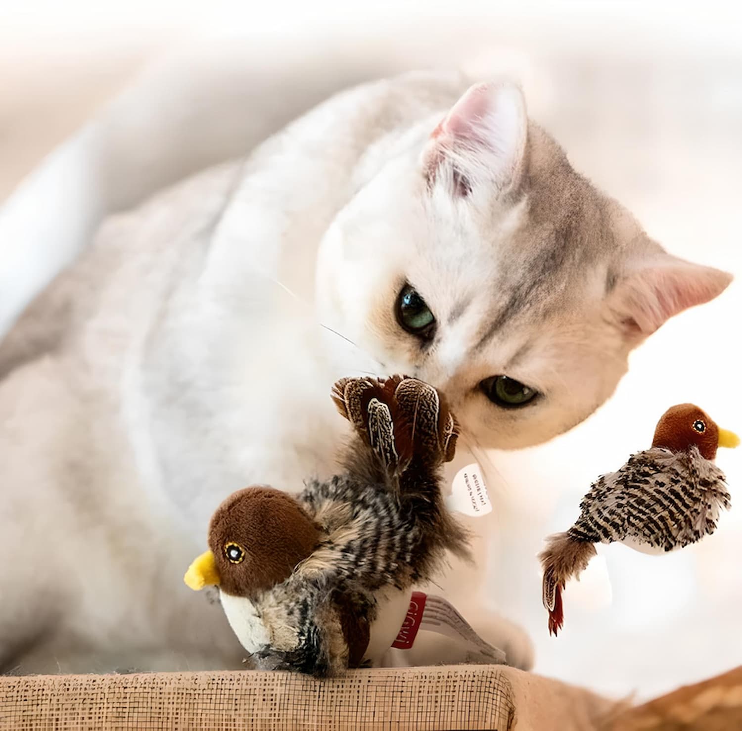 WildWhisk™ — Unleash Your Cat’s Wild Hunter for Explosive Joy and Fitness