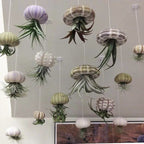 SeaThrive™ — Bring Peaceful Coastal Beauty and Effortless Greenery Into Your Home
