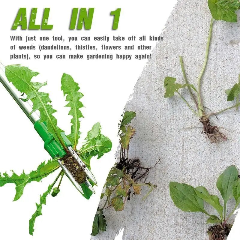 Permanent Root Remover | Stainless Steel | WeedLance | Trident Attachment