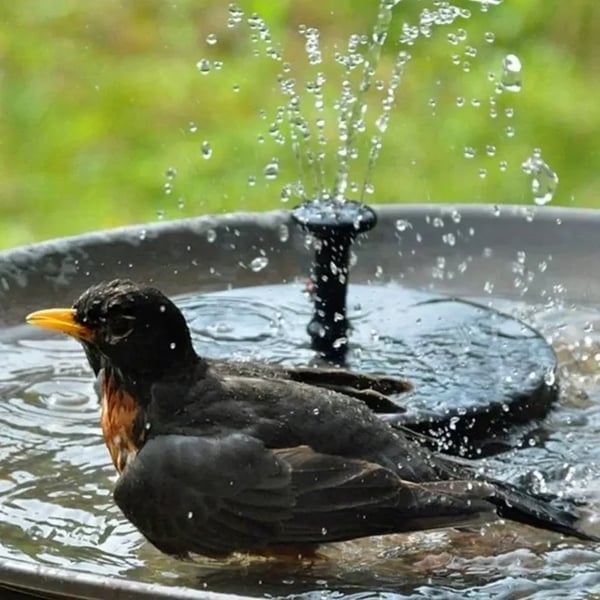 AquaLuxe™ — Transform Your Garden Into a Sun-Powered Sanctuary of Peace and Playful Wildlife