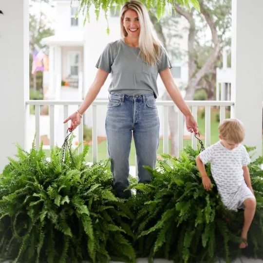 EmeraldMoss™ — Stunningly Real Greenery That Thrives Without Effort or Watering