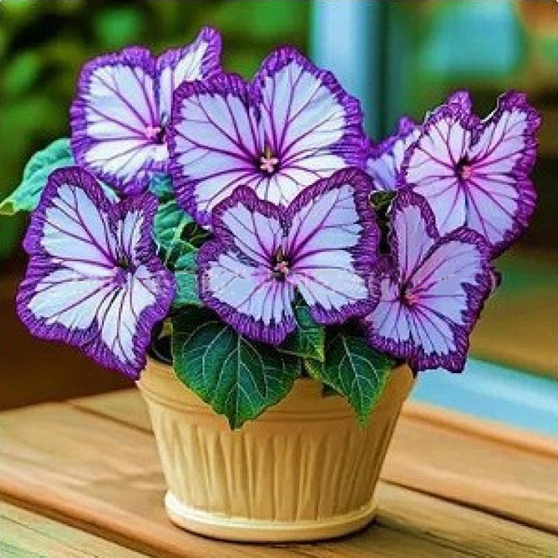 EnchantWing™ Butterfly Bloom Seeds — Transform Your Garden into a Vibrant Butterfly Paradise That Dazzles Every Eye