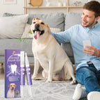 VibrantPaw™ — Unleash Your Pet’s Brightest, Freshest Smile Ever