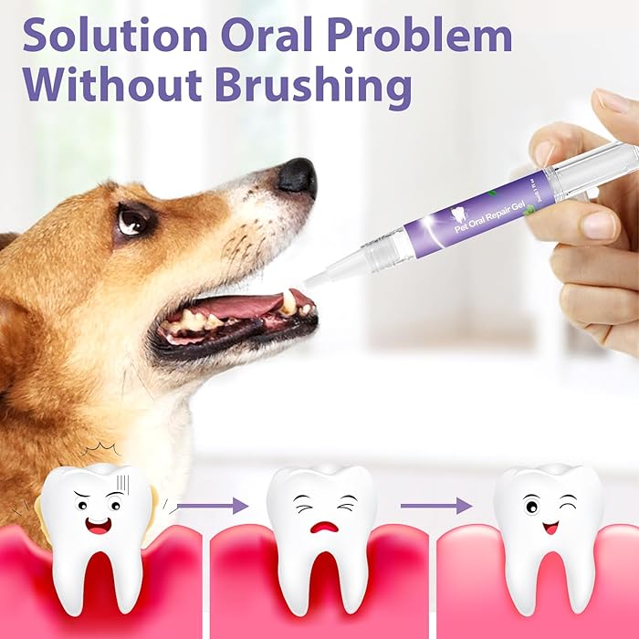 PurePaw Smile™ — Unlock Joyful Play with a Fresh, Pain-Free Pet Smile Every Day