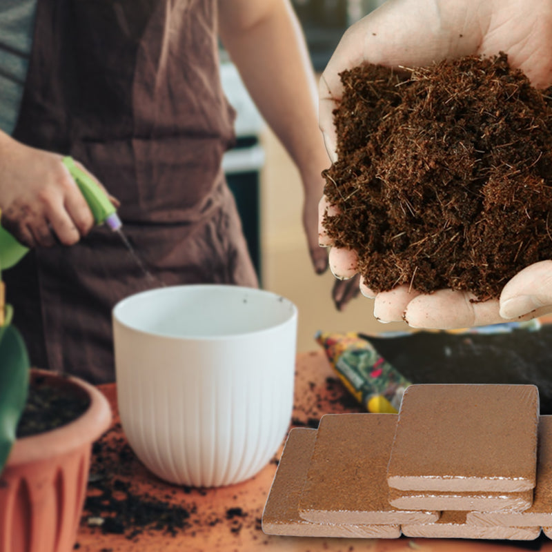 EverPureBloom™ — Ignite Your Garden’s Unstoppable Growth and Life-Rich Vitality